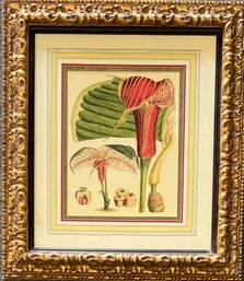 Custom Framed Botanical Print (as Is)