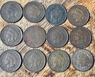 12 Indian Head Penny Coins - 1902 - 1904