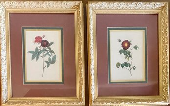 (2) Bassett Fine Art Framed Flower Prints With Ornate Gold Frames