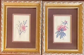 (2) 8' X 10' Botanical Prints On Ornate Gold Frames