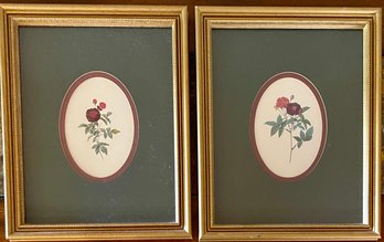 (2) Botanical Floral Prints In Frames