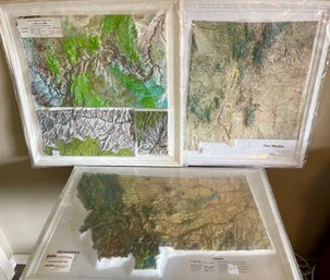 Kistler Montana, Grand Canyon, And New Mexico Topical Vinyl Raised Relief Maps