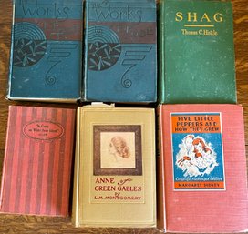 Antique Books - (2) E.P. Roe 1880 And 1885, Shag, Five Little Peppers, White Bear Island 1910, And More