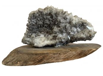 Two Sided Black Dogtooth Calcite Specimen On Wood Tree Base