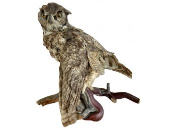 Taxidermy Driftwood Mounted Great Horned Owl