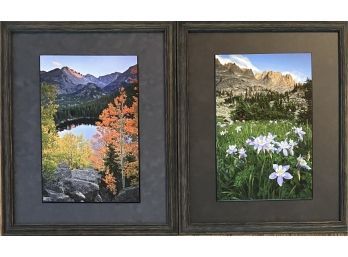 (2) Framed Erik Stensland Rocky Mountain National Park Photographs - 'bear Finally' -'Columbine Meadow'