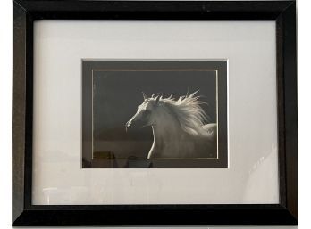 Black & White Horse Print In Black Frame With White Matting