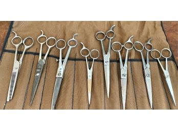 (8) Pairs Of Barber Shears  - Economy Thinning Shears, Crucible Wiss, Super Cut 22, Red Imp, C-mon, Nogent