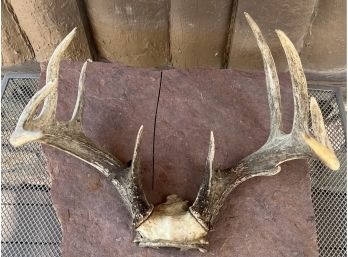 Pair Of 8-point Antlers Nebraska 1970's