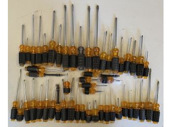 Large Set Of Plastic Handled Screw Drivers