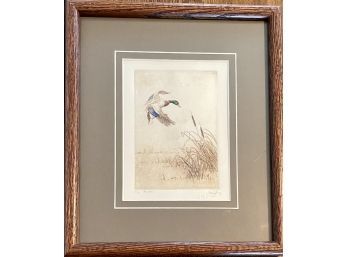 Limited Edition Sandy Scott Watercolor Mallard 33/100 Print In Frame