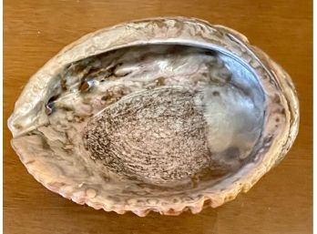 Vintage Sea Shell Soap Dish