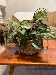 Faux House Plant In Wicker Basket Container