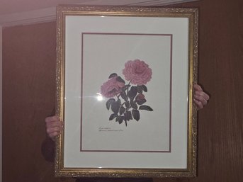 Lot 5-148 Rose Flower Picture In Frame (L Of Microfiche)