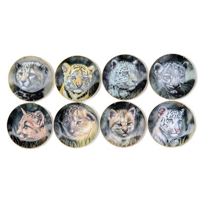 'Cubs Of The Big Cats Plate Collection' By Gua On Fine Porcelain