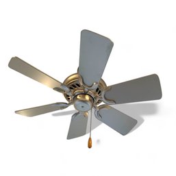 Pair Of Ceiling Fans