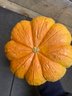 Decorative Pumpkin (HB2)