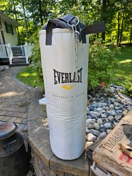 Nice Everlast Punching Bag With Mounting Hardware