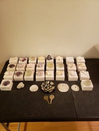 Vtg Sea Shell Lot