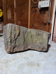 Large Piece Of Petrified Wood