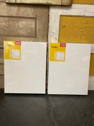 2 Piece 5 Pk 16x20 Canvas Lot B1