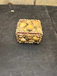 Seashell Trinket Box