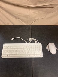 HP Mouse And Keyboard (Z2)