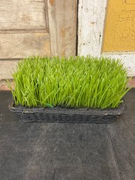 Faux Grass Plant C4