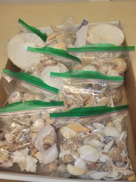 9 Bags Of Seashells