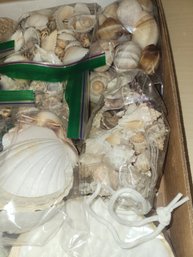 9 Bags Of Seashells And Tumbled Rocks