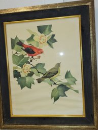 Scarlet Tanager Print In Gold Frame