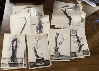 Antique 20 JAPANESE POSTCARDS Bonsai Trees In Japan - SHIPPABLE (Bag 12)
