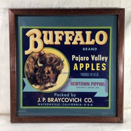 Advertising Print, Buffalo Pajaro Apples - 13 In X 13 In