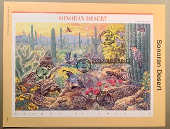 U.S. Stamp FDC Sheet - 34cNature Of America, Sonoran Desert, SHIPPABLE