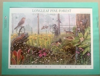 U.S. Stamp FDC Sheet - 34c Longleaf Pine Forest, Nature Of America, SHIPPABLE