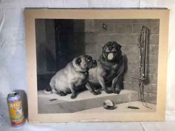 Large Engraving Of Dogs - Captioned: Uncle Tom And His Wife...For Sale. 26 In X 32 In