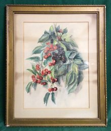 Original Watercolor Artwork, Berries And Leaves, In Orig. Backed Frame, Early 1900s