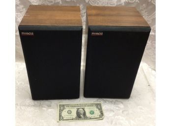 Pair Of Pinnacle Speakers