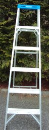 Werner 6 Ft Aluminum Ladder
