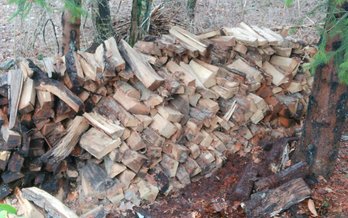 My What A Large Pile Of Split Wood You Have