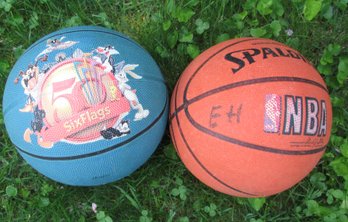 Pair Of Basketballs And Hoop