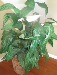 Silk Peace Lilly Plant & Woven Basket