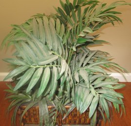 Palm Plant Box