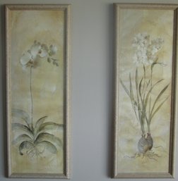 Orchid & Narcissia  Framed Prints