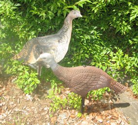 You Can't Gobble Us Up! - Turkey Decoys