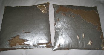 Pair Of Designer Throw Pillows