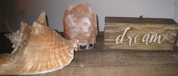 Dream Light, Himalayan Salt Lamp, And Large Conch Shell