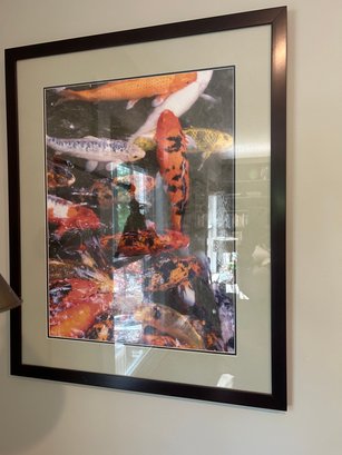 Fish Photo Matted And Framed Behind Glass