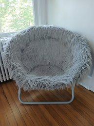 Shag Rug And Shaggy Chair