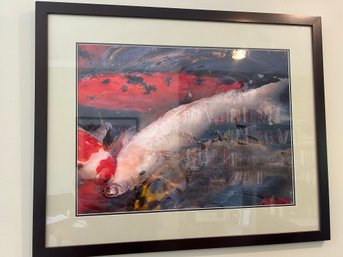 Fish Photo Matted And Framed Behind Glass